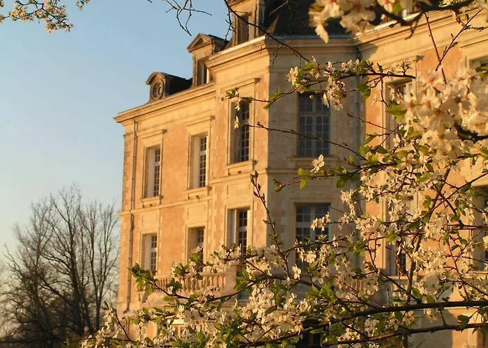 Chateau De La Haye Contigné