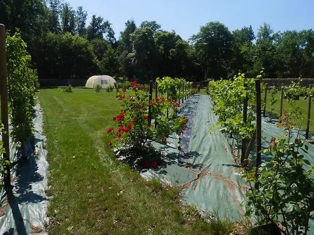 德拉海耶城堡酒店 孔蒂涅